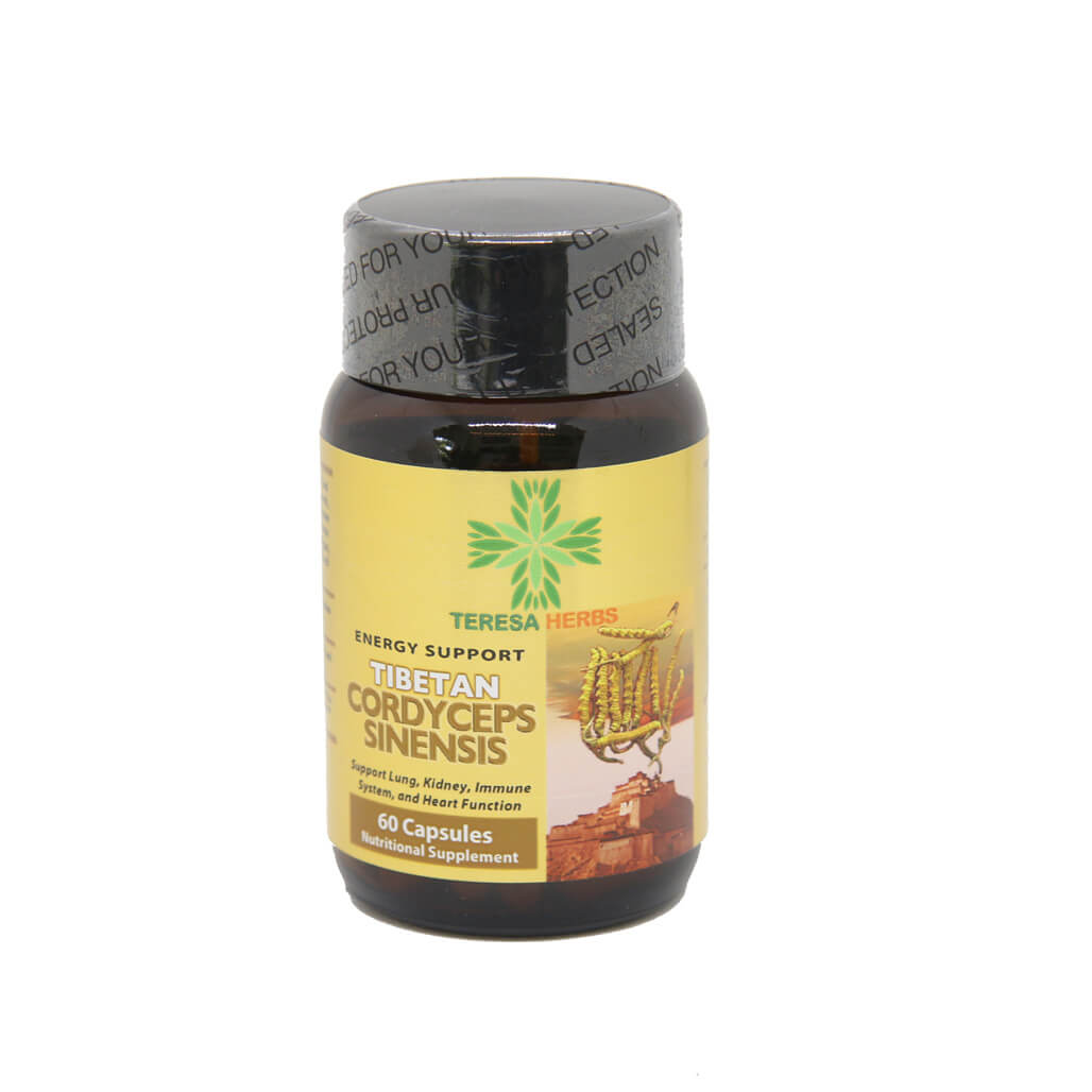 tibetan cordyceps sinensis