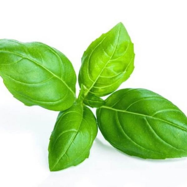 basil leaf liverdetox